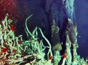 В гидротермальных водах Новой Зеландии нашли золото и серебро