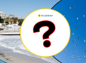 Птицы в Одесской области