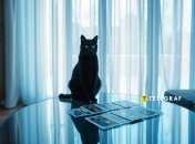 Гороскоп Таро, чего ждать 12 февраля