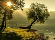 Наши предки в этот день с уважением относились к растениям