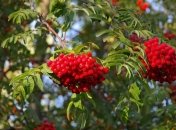 День Епифана: приметы и обряды на 25 мая