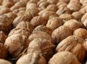 Назван продукт украинского экспорта, приносящий колоссальную прибыль