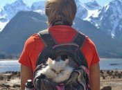 Очередная порция юмора в подборке прикольных картинок 