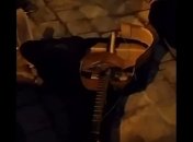 В самом сердце Львова музыканта избили за песни на русском (видео)