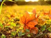 Как поднять себе настроение осенью?