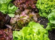 Продукты, которые помогут при болях в спине (Фото)