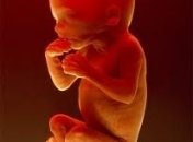 Можно ли делать инъекции плоду?