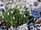 Какую погоду ожидать жителям столицы