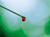 Ребенок укололся найденным на улице шприцом. Что делать?