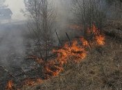 В Чернобыльской зоне больше недели горят леса: что известно на 14 апреля