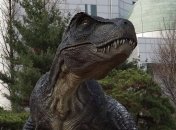 Стало известно, что ученым помогло разобраться в слухе динозавров