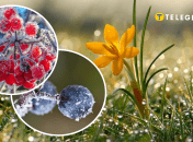 В Україні на 16-17 травня обіцяють заморозки