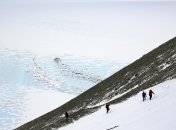 В Антарктиде были обнаружены останки неизвестной науке птицы
