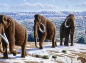 Археологи нашли двухметровый бивень мамонта