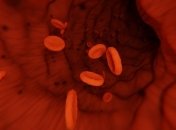 Причины и последствия низкого уровня тромбоцитов в крови