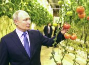 Володимир Путін