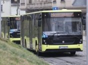 Обскакали даже Киев: во Львове резко подорожал проезд в городском транспорте