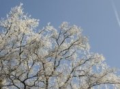 В ближайшие дни в Украине будет похолодание