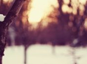 Погода в Украине на сегодня будет зимней