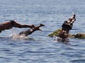 На 42,1% увеличился в сентябре турпоток в Крым