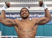 Бой Джошуа - Поветкин обслужит британский рефери