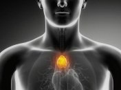 Где на человеческом теле находится "точка счастья"