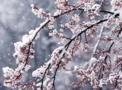 Погода в апреле неприятно удивит