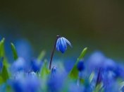 Погода в Украине 7 марта: в стране потеплеет 