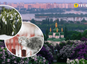 Киев, кот и Киев весной