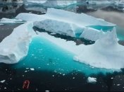 Гренландія не найкраще місце для риб