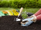 Можно ли сажать огород в Страстную пятницу: посевной календарь на апрель 2022