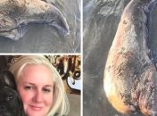 На австралийском пляже нашли загадочное чудовище без глаз  