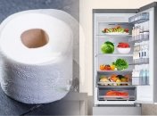 Зачем опытные домохозяйки кладут рулон туалетной бумаги в холодильник: ответ вас удивит