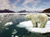 Август стал самым жарким месяцем в истории метеонаблюдений