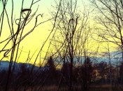 Прогноз погоды на 18 марта: ночью в Украине похолодает до 0...-4