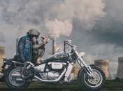 Снижение интеллекта человека связано с загрязнением окружающей среды