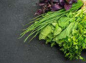 Сочная зелень быстро растет