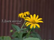 Разобрались, кого поздравляем с Днем ангела 31 июля