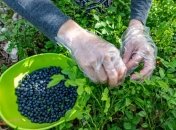 Українським заробітчанам заборонили в'їзд до Фінляндії