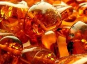 Обнаружен кусочек янтаря с каплями крови и паразитами древних приматов