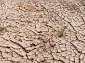 Повышение глобальной температуры приведет к выбросу сотен миллиардов тонн углерода из почвы