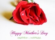 День матери 2021: стихи, открытки и картинки с праздником