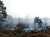 В Чернобыльской зоне спасатели до сих пор тушат несколько тлеющих очагов