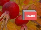 Свято 6 вересня