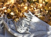 Опавшую листву не нужно сжигать