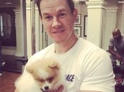 Марк Уолберг станет наставником Тома Холланда в фильме по Uncharted