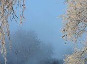 Сегодня в Украине будет туманно