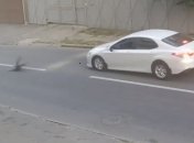 Спас рюкзак: школьник летел несколько метров от удара с автомобилем (Видео)