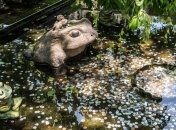 ТОП мест в мире, где можно загадать желание