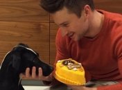 Сергей Лазарев будет продавать торты для собак